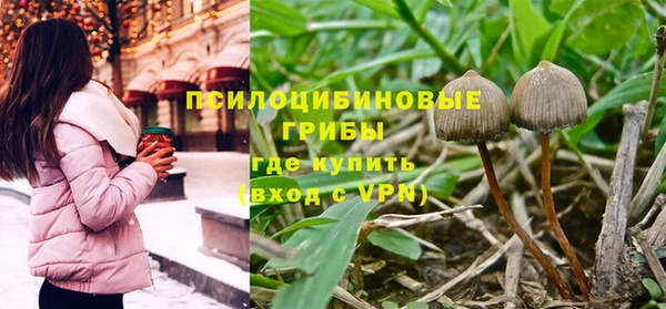 мет Арсеньев