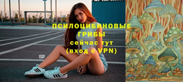 бошки Армянск