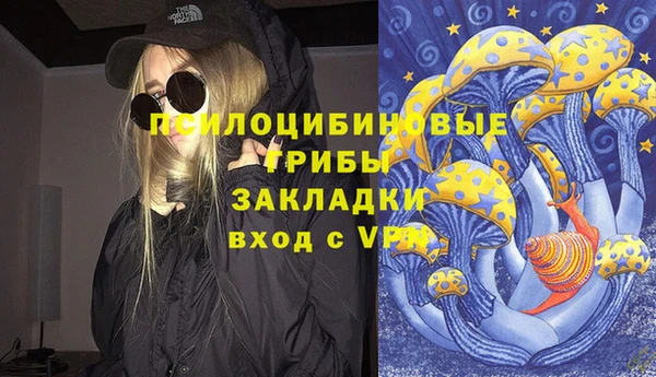 бошки Армянск