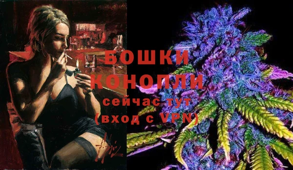 мет Арсеньев