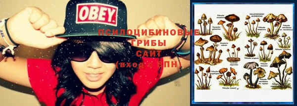 мет Арсеньев