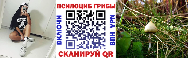 Псилоцибиновые грибы Cubensis  kraken ССЫЛКА  Оленегорск  хочу  